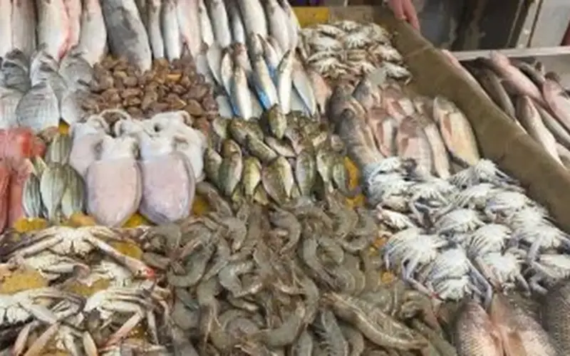 البورى من 155 إلى 185 جنيها.. أسعار الأسماك اليوم الخميس في الإسماعيلية